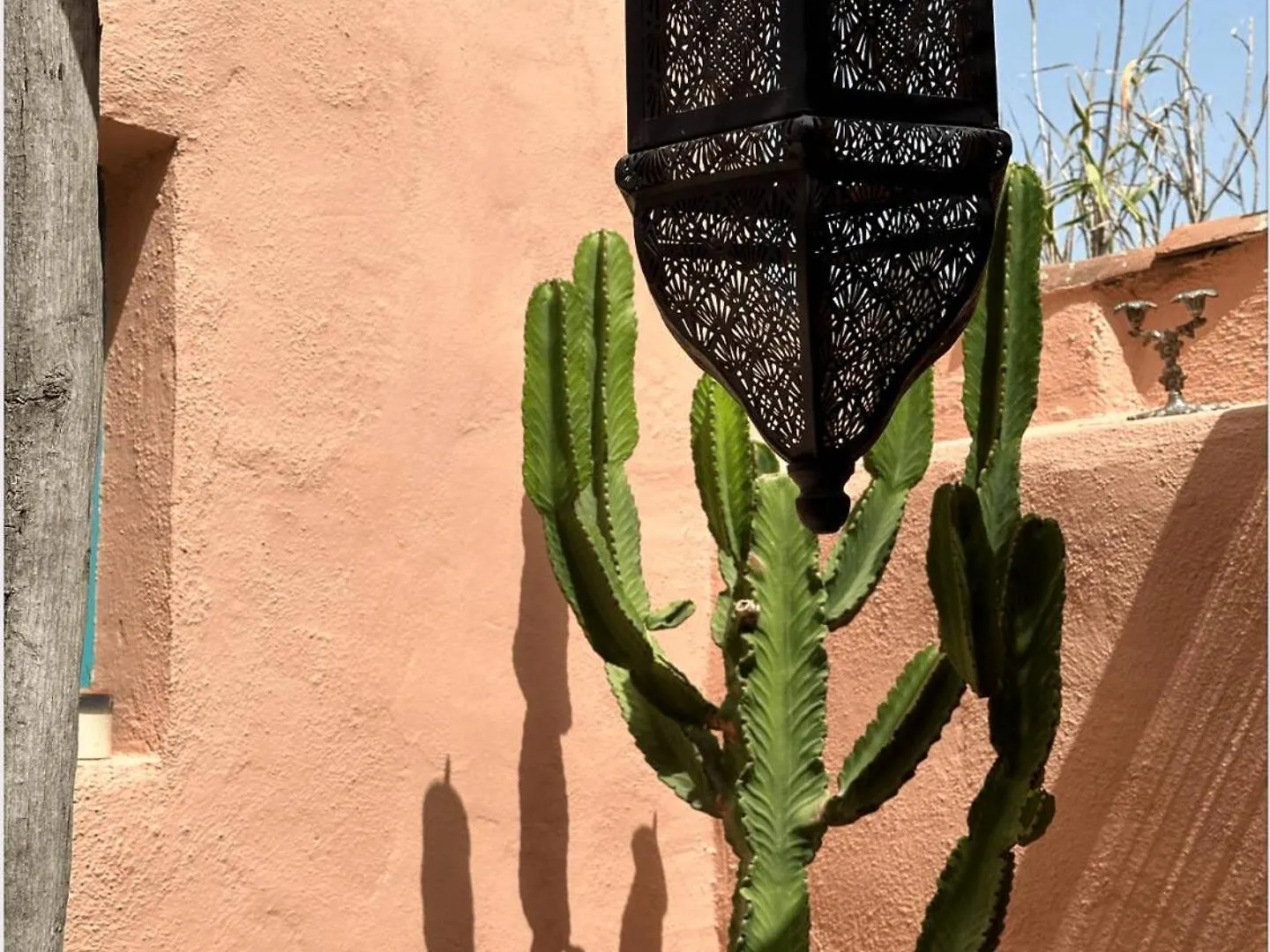 Coocoomos Casa Moroccan Style Villa Chio  Spain
